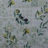 Toile cirée standard en 140 cm de large avec des olives