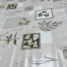Toile cirée au mètre Jacques, en 180 cm de large, un motif botanique beige avec impression de plantes et herbiers