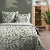 Bali, parure de lit à grands motifs feuillages vert sauge et blanc